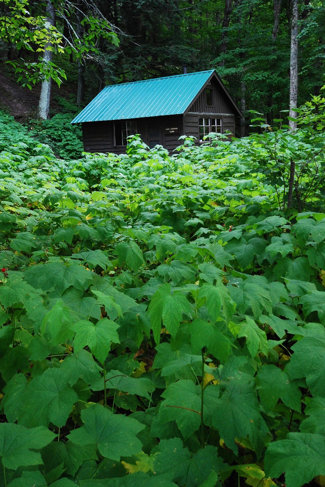 Cliffs and Ruins Porcupine Mountains 2015 Intro, Planning, and Travel