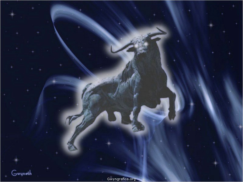 Pictures Of Taurus