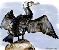 Cormorant is a bird drawing by ArtMagenta