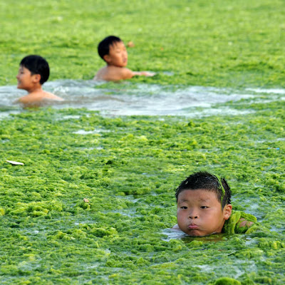 பாசிக்குள் என்னதான் செய்கிறார்கள். Algae+In+China+kids-swimming