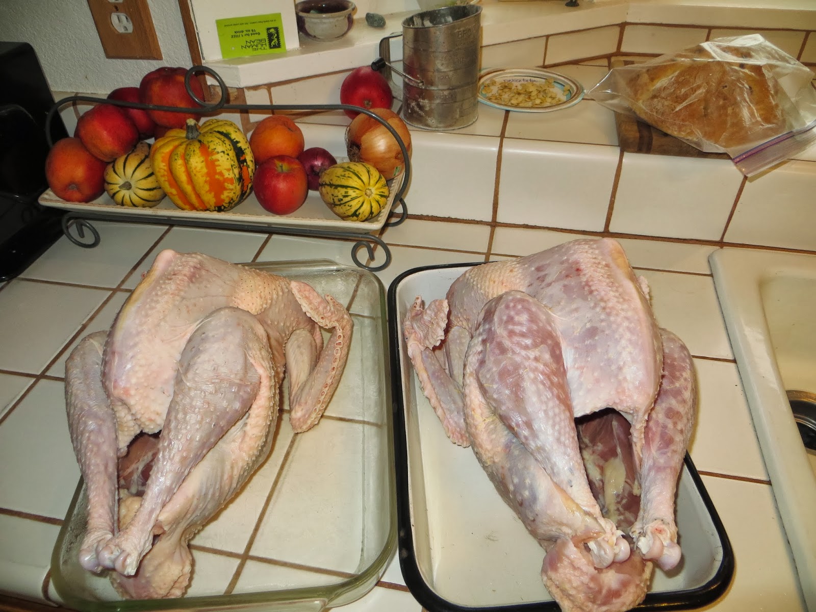 O'Brien's Family Farm Turkey Butchering Prep