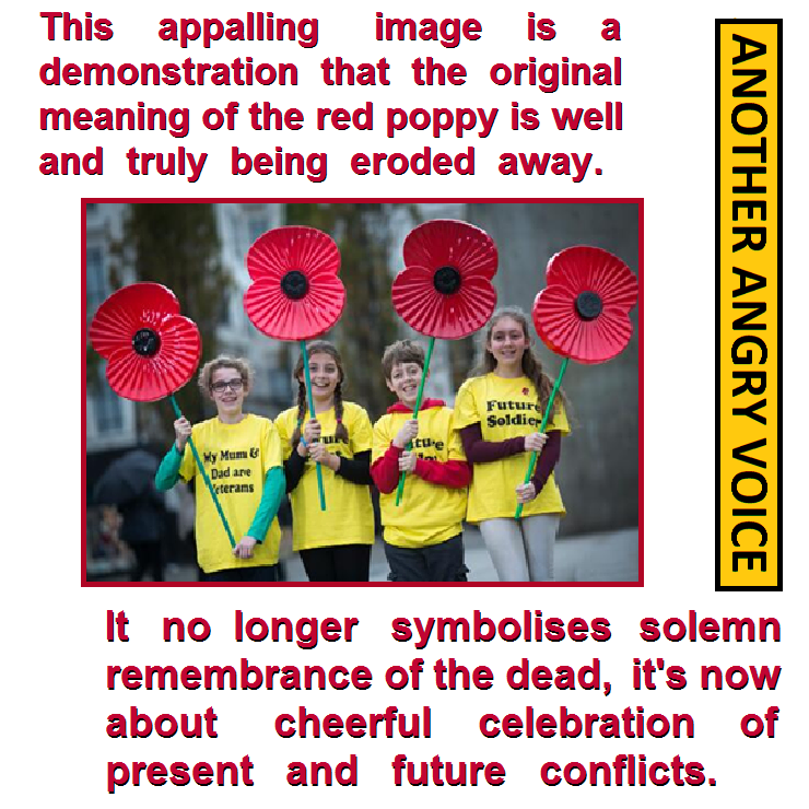 List 102+ Pictures What Is The Significance Of Red Poppies On Memorial