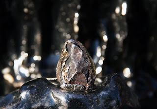 meteorite ring by alex streeter