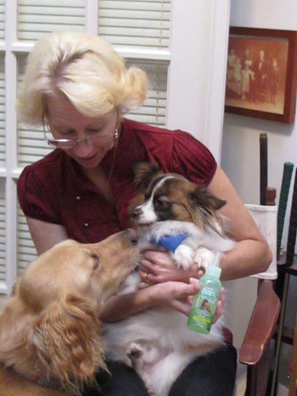 tropiclean fresh breath side effects