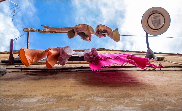 Compact Camera, Best Photo of the Day in Emphoka by Cristina Cep, Sony DSC-RX100, https://flic.kr/p/mbRVGM Compact Camera, Best Photo of the Day in Emphoka by Cristina Cep, Sony DSC-RX100, https://flic.kr/p/mbRVGM