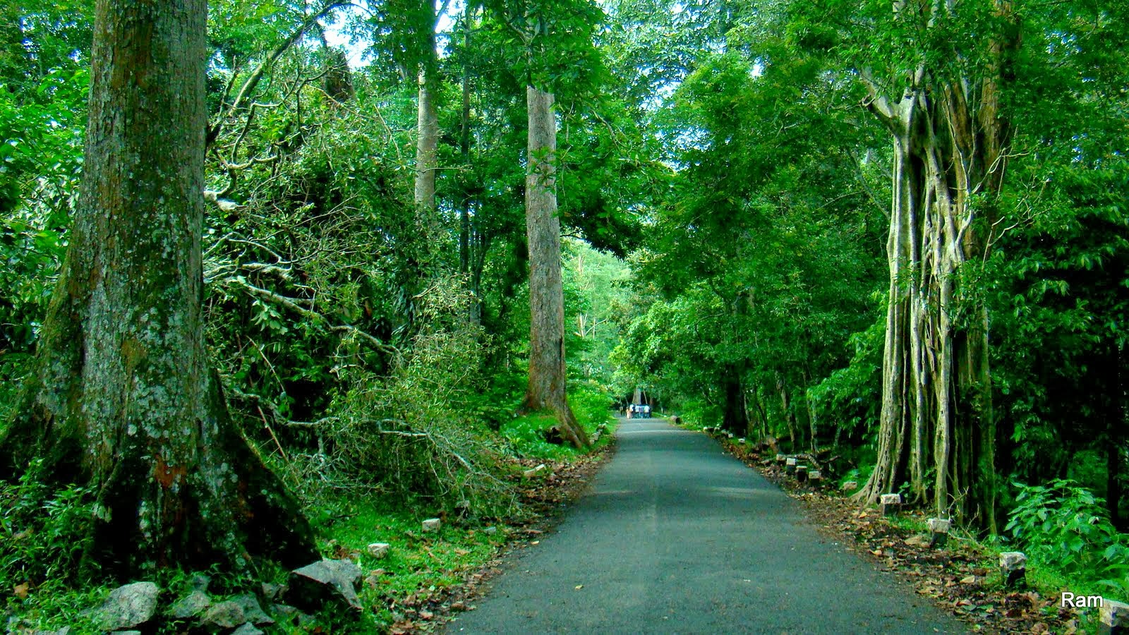 September 2013,Gavi Kerala-Complete Information about Gavi,Kerala,Gavi