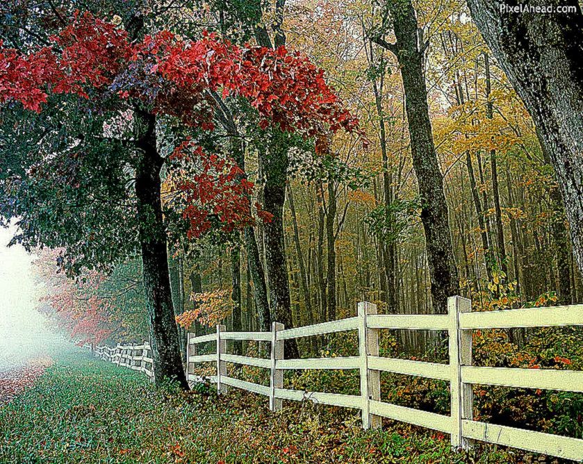 Free Desktop Backgrounds Nature Wallpapers and Background Free Desktop Backgrounds Nature Wallpapers and Background