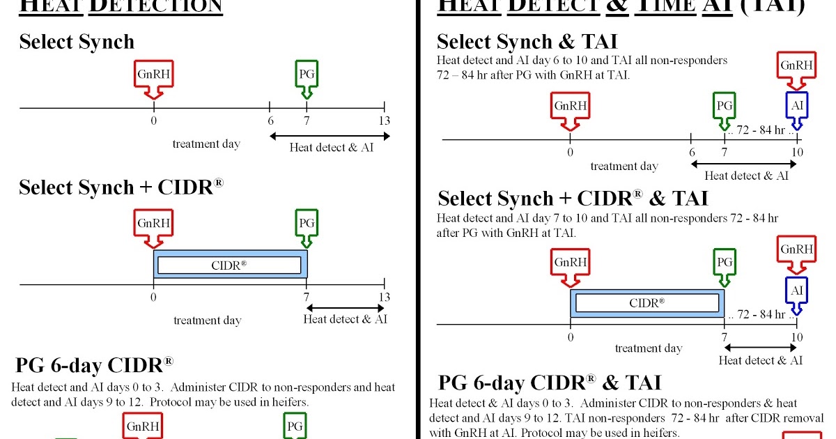 The GENEX Blog Beef Synchronization Protocols