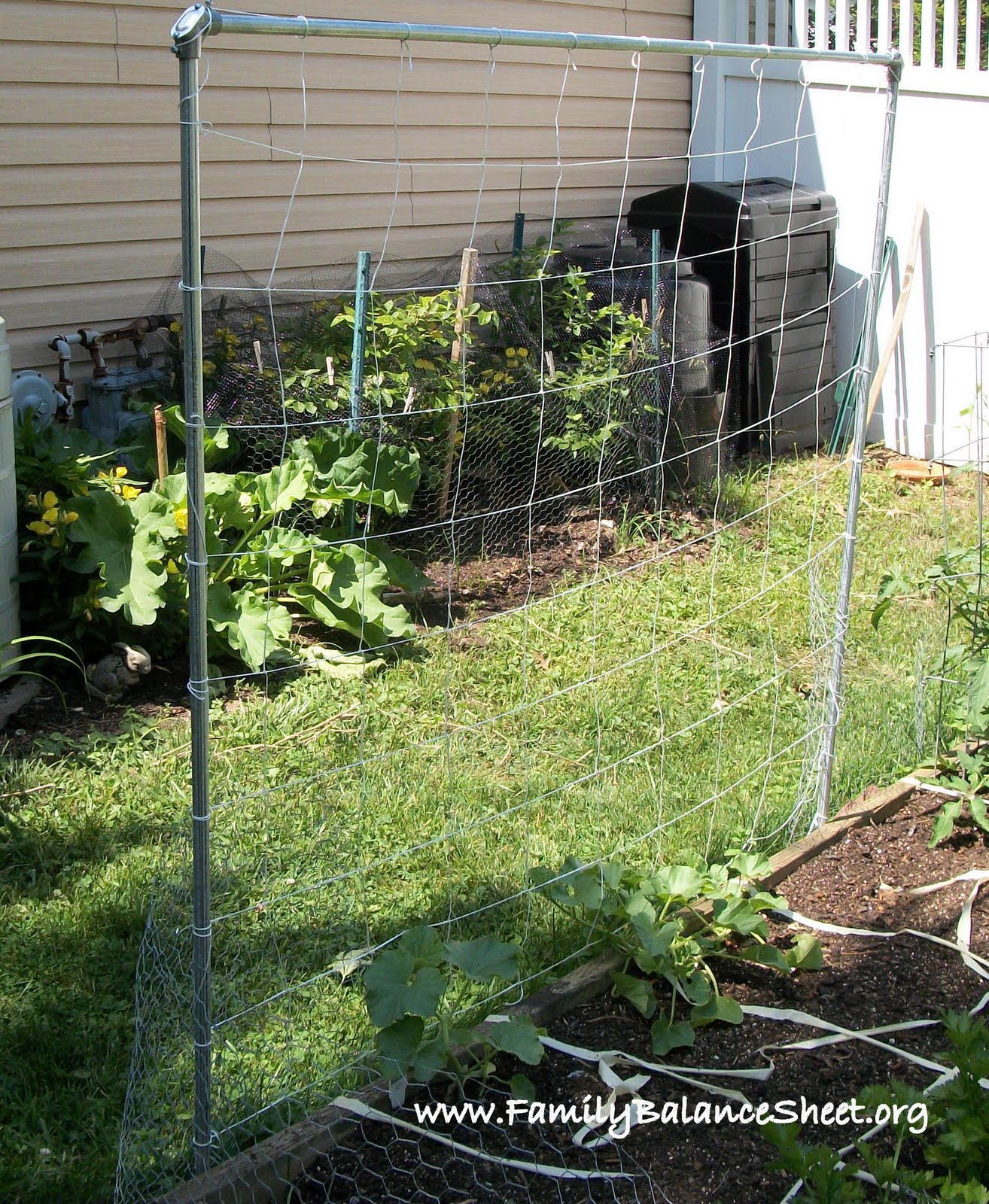 Vertical Gardening - Family Balance Sheet