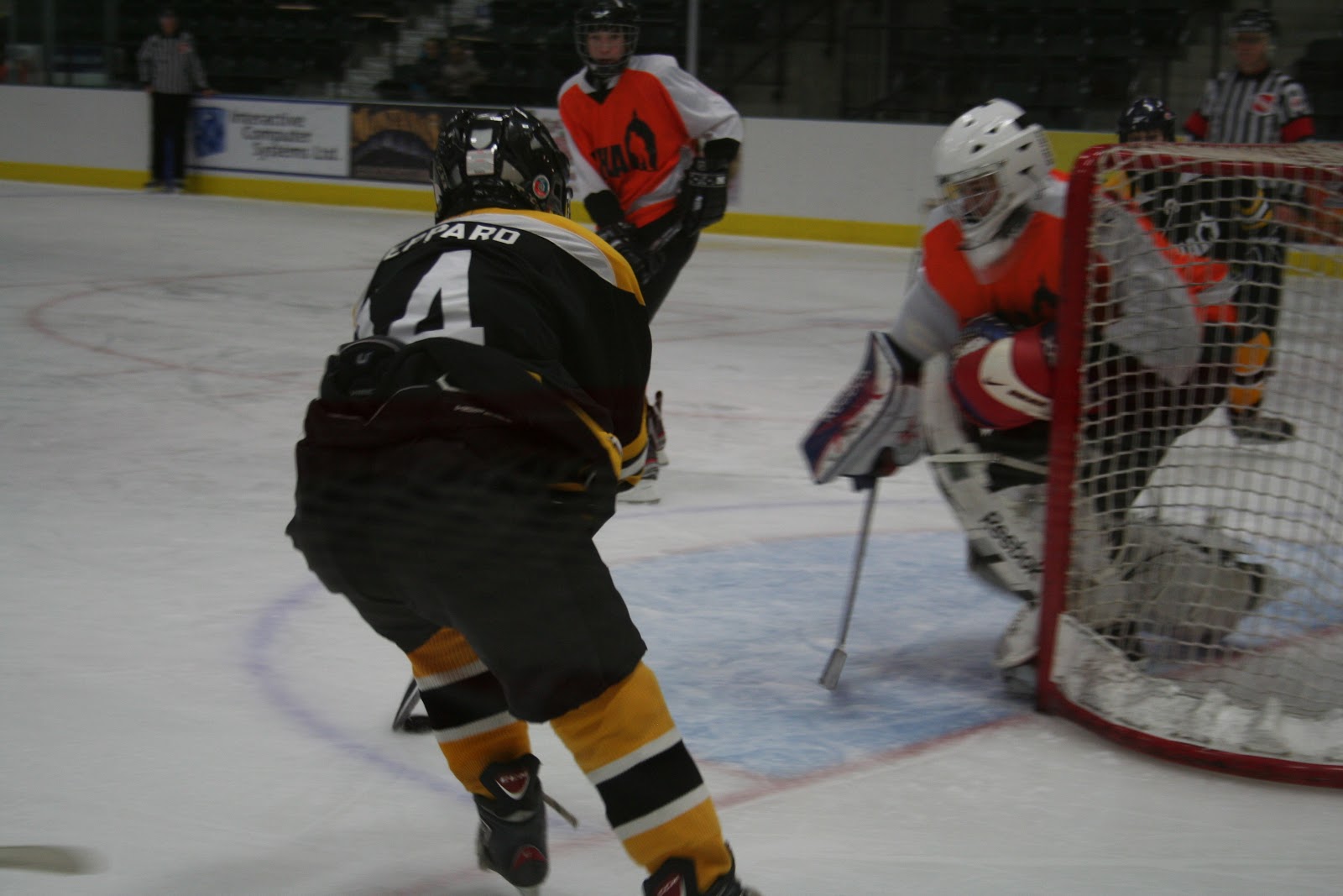 Fitness Excellence Athletic Training (FEAT) Hockey Get Ready Now