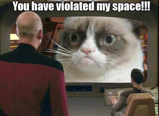 Image result for sci fi kitty meme alien taking over