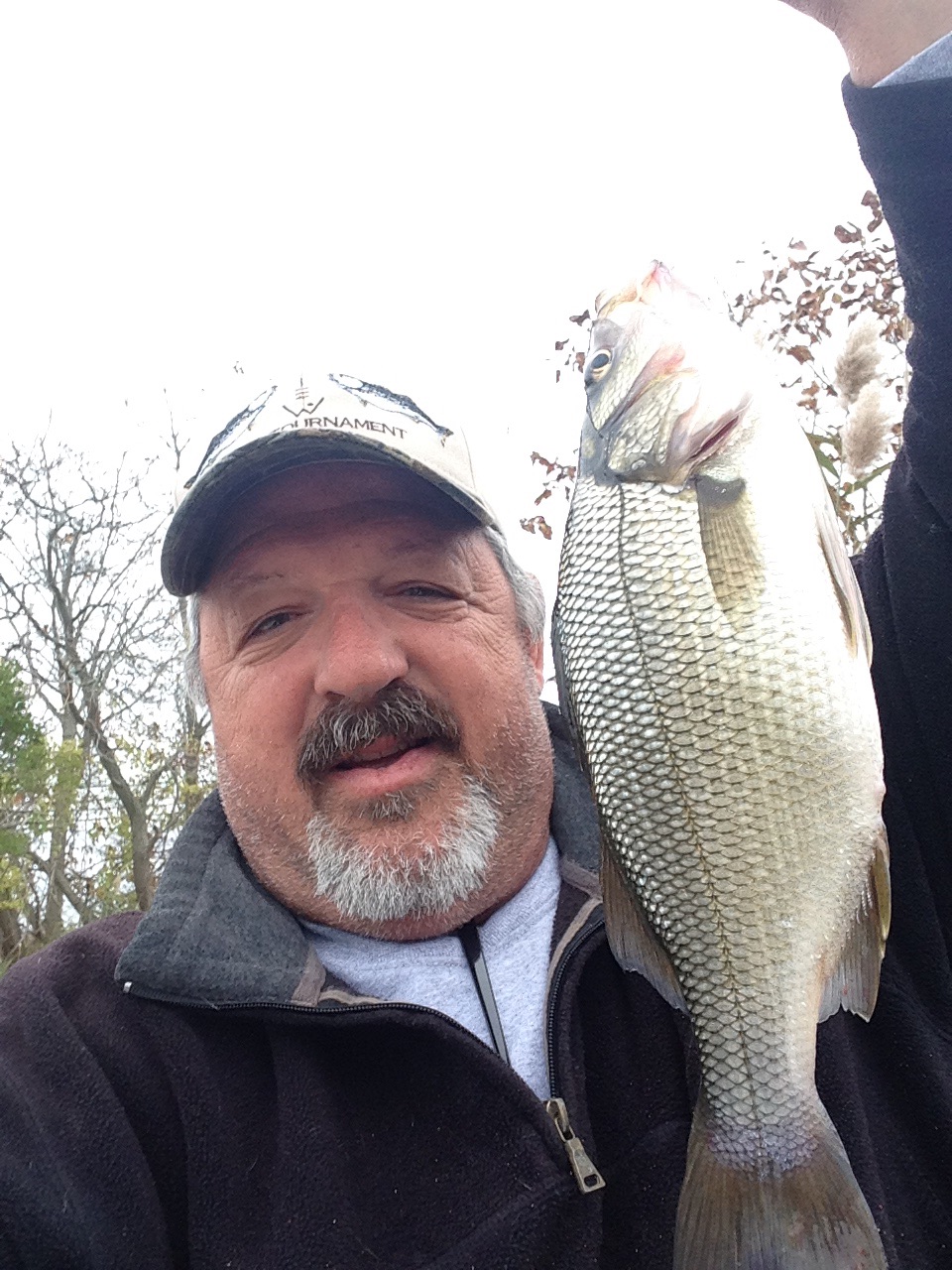 White Perch are here! Chasing Tails Bait & Tackle