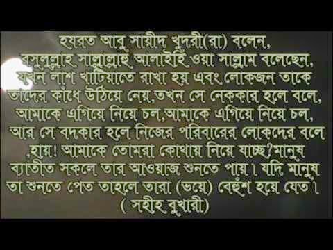 bukhari sharif pdf bangla  movies
