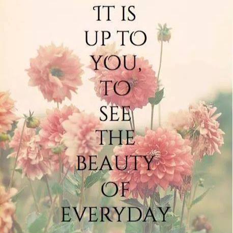 Its is up to you, to see the beauty of everyday.