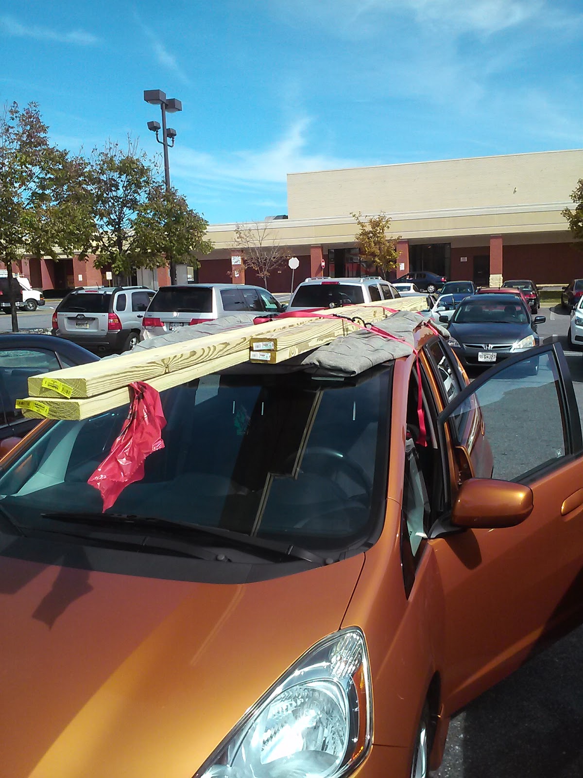 I Made This From the World Wide  DIY Outdoor Canopy Frame Inspired