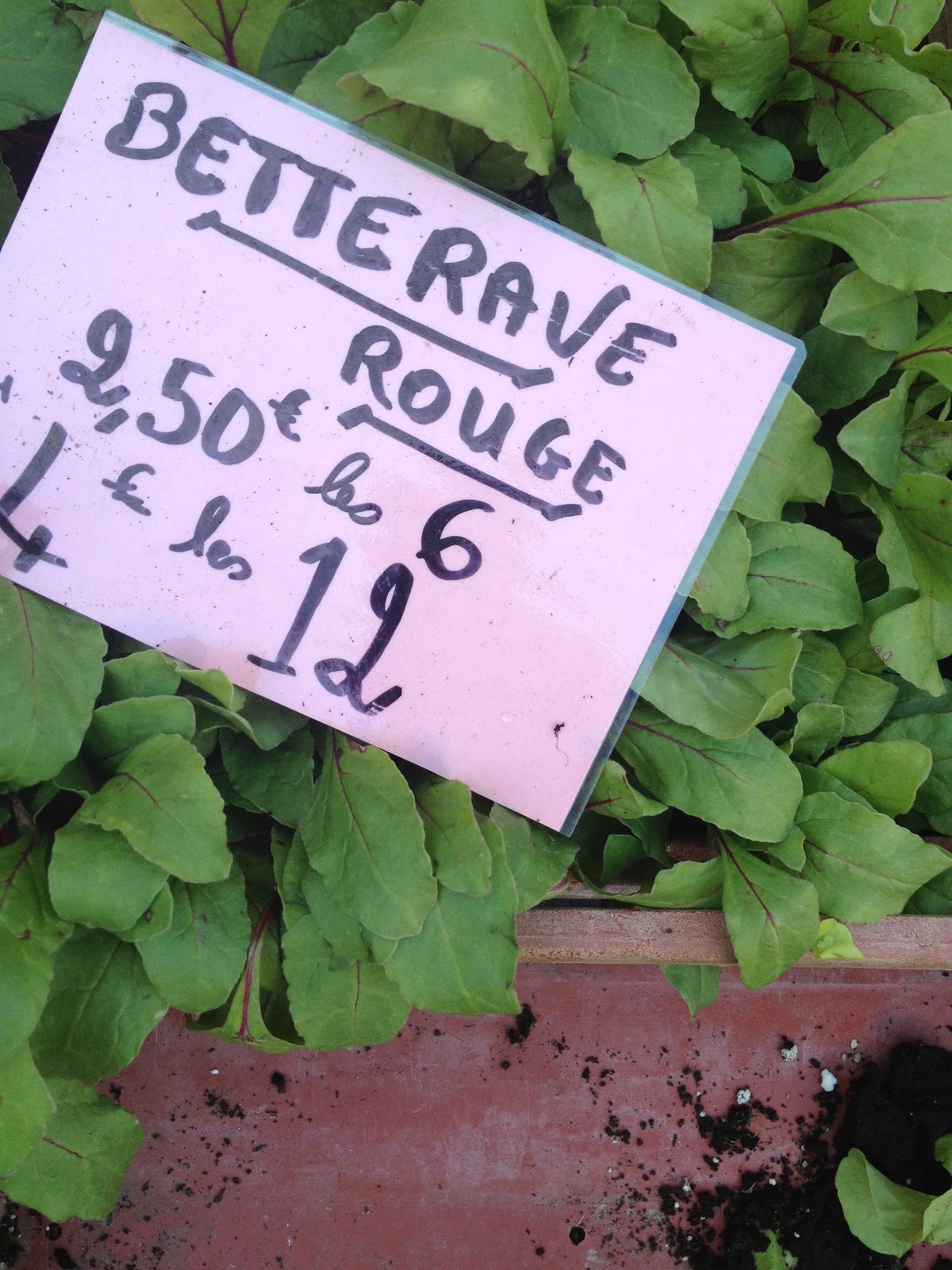 The Warp and the Weft Lettuce en Francaise