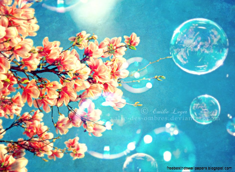 Spring Time on Pinterest Wallpapers Spring and Spring Flowers Spring Time on Pinterest Wallpapers Spring and Spring Flowers