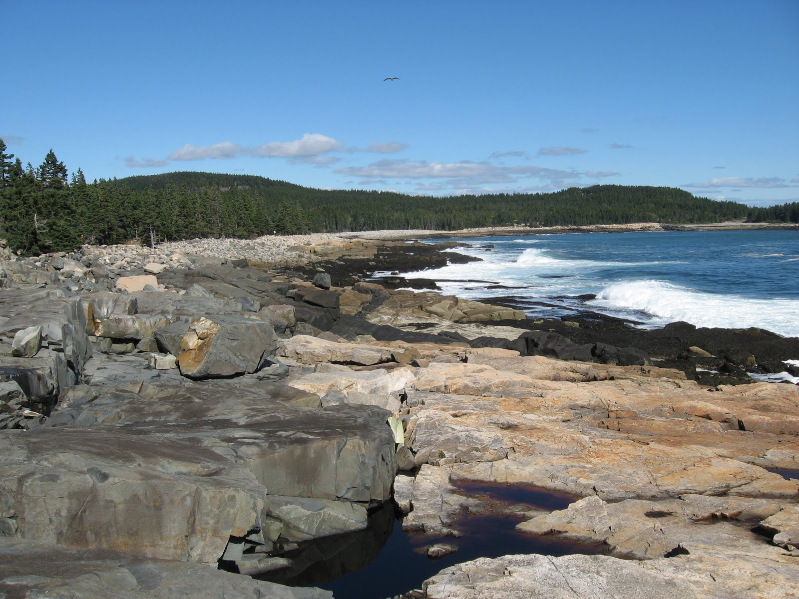 Schoodic Peninsula, Acadia National Park