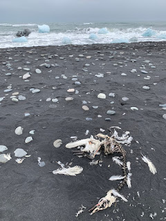 Le Cycle De L Eau Et Le Cycle De La Vie