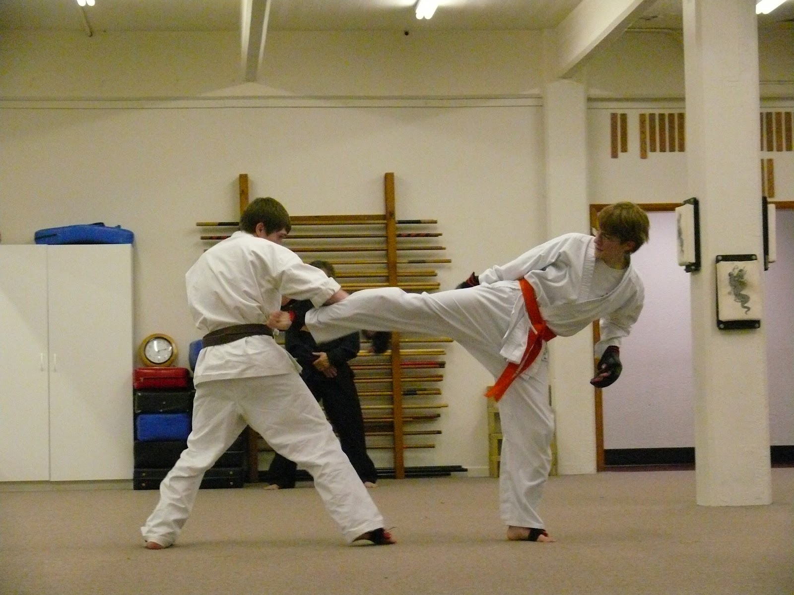 Harp Karate Getting Hit Too Hard in Sparring