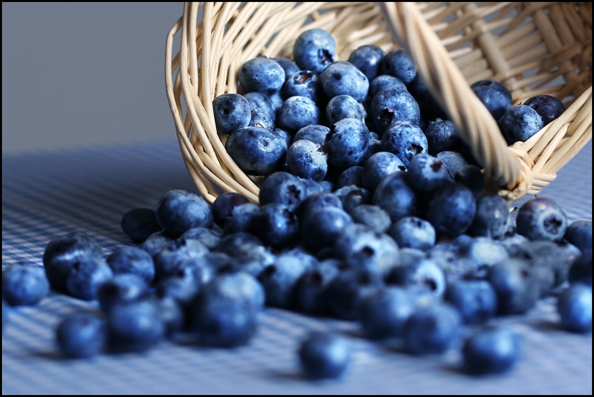 Μύρτιλα (blueberries) και άγρια μύρτιλα (bilberries) για