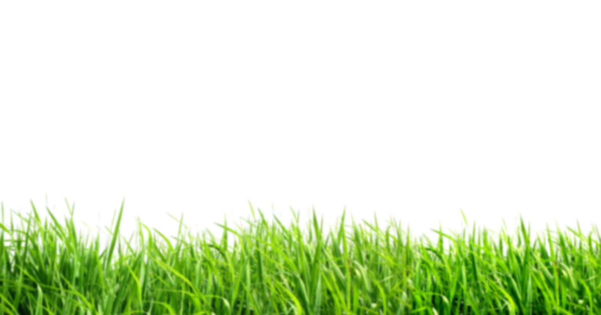 Accesorios en PNG 2012-13: Pasto PNG