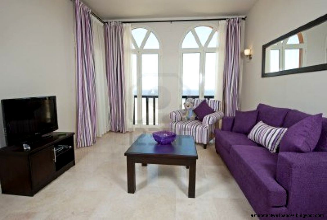 Apartments Marvelous Apartment Living Room With Violet Sofa And Apartments Marvelous Apartment Living Room With Violet Sofa And
