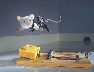 Ratinho Ratoeira
