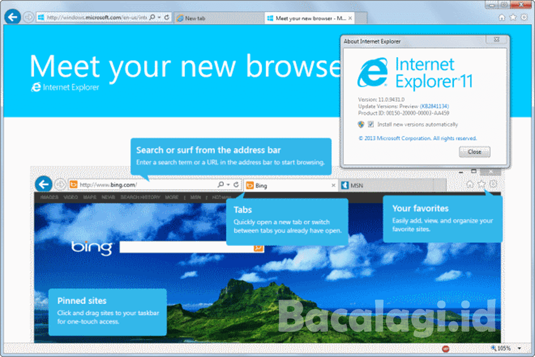 how to update internet explorer on w10