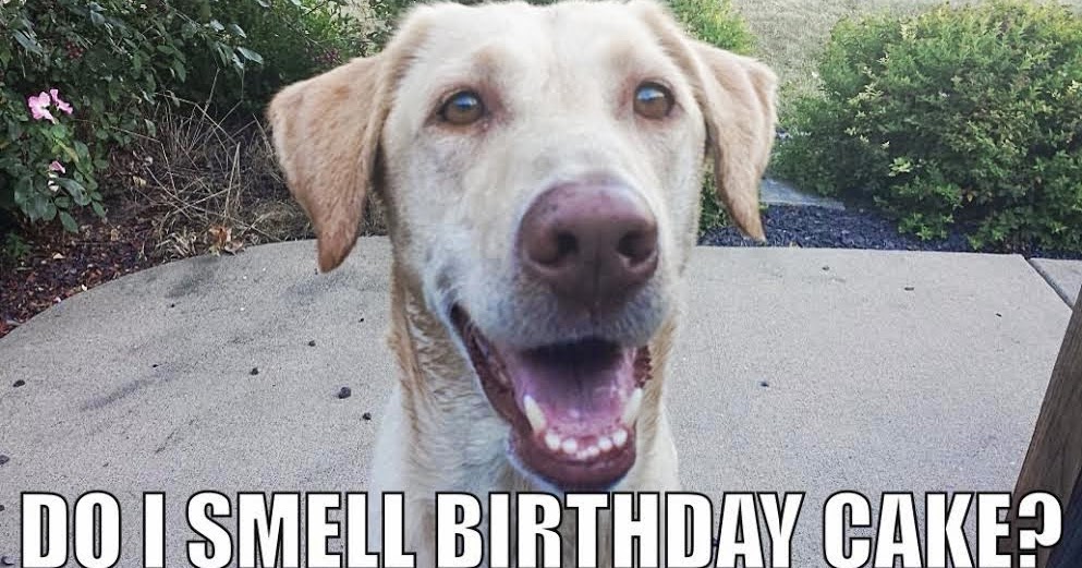 What Time Is O Clock Do I Smell Birthday Cake
