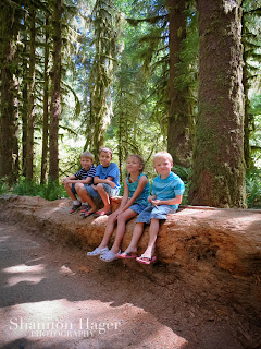 Shannon Hager Photography, Hoh Rainforest, Outdoor Portraits