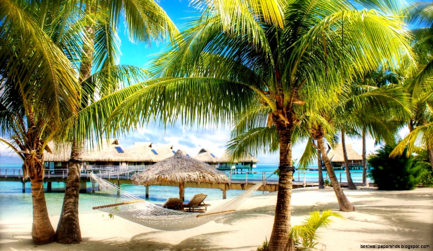 Tropical Beach Resorts Tropical Beach Resorts