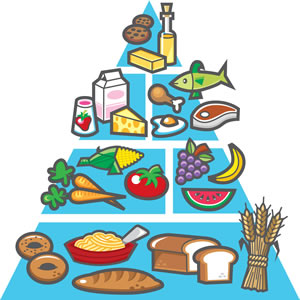 Food Pyramid Examples