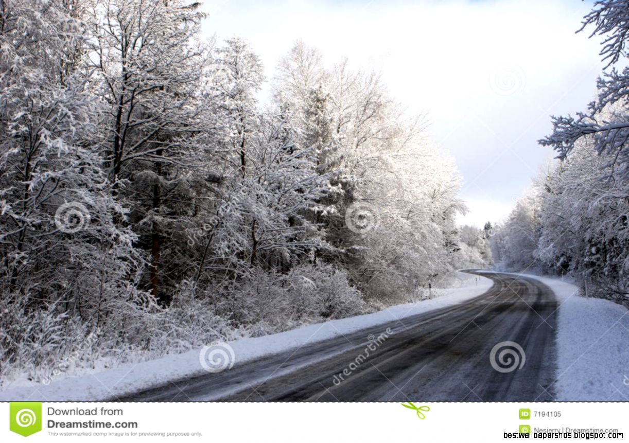 Winter Road Royalty Free Stock Photo Image 7194105 Winter Road Royalty Free Stock Photo Image 7194105