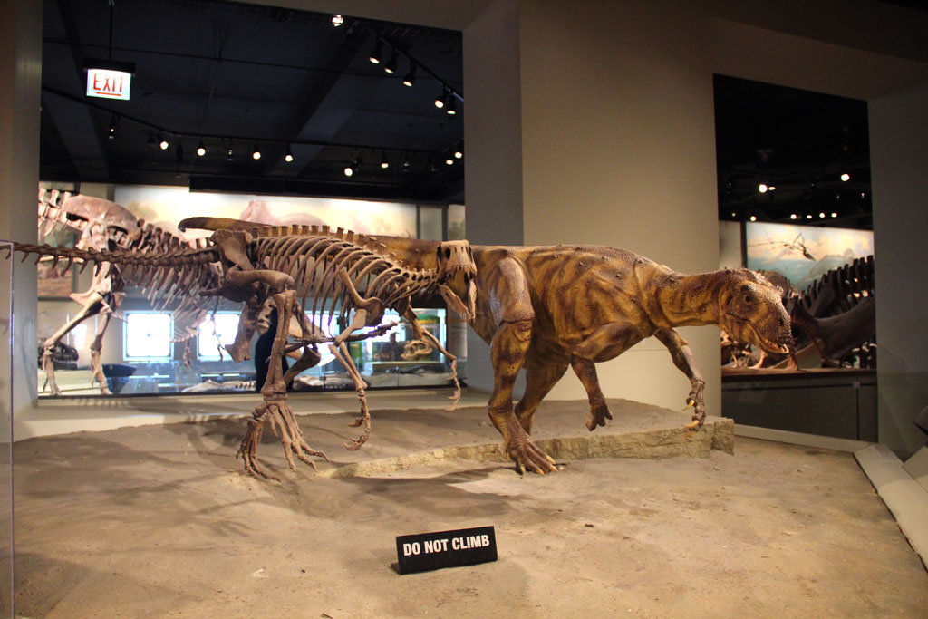 Field Museum Hall of Dinosaurs