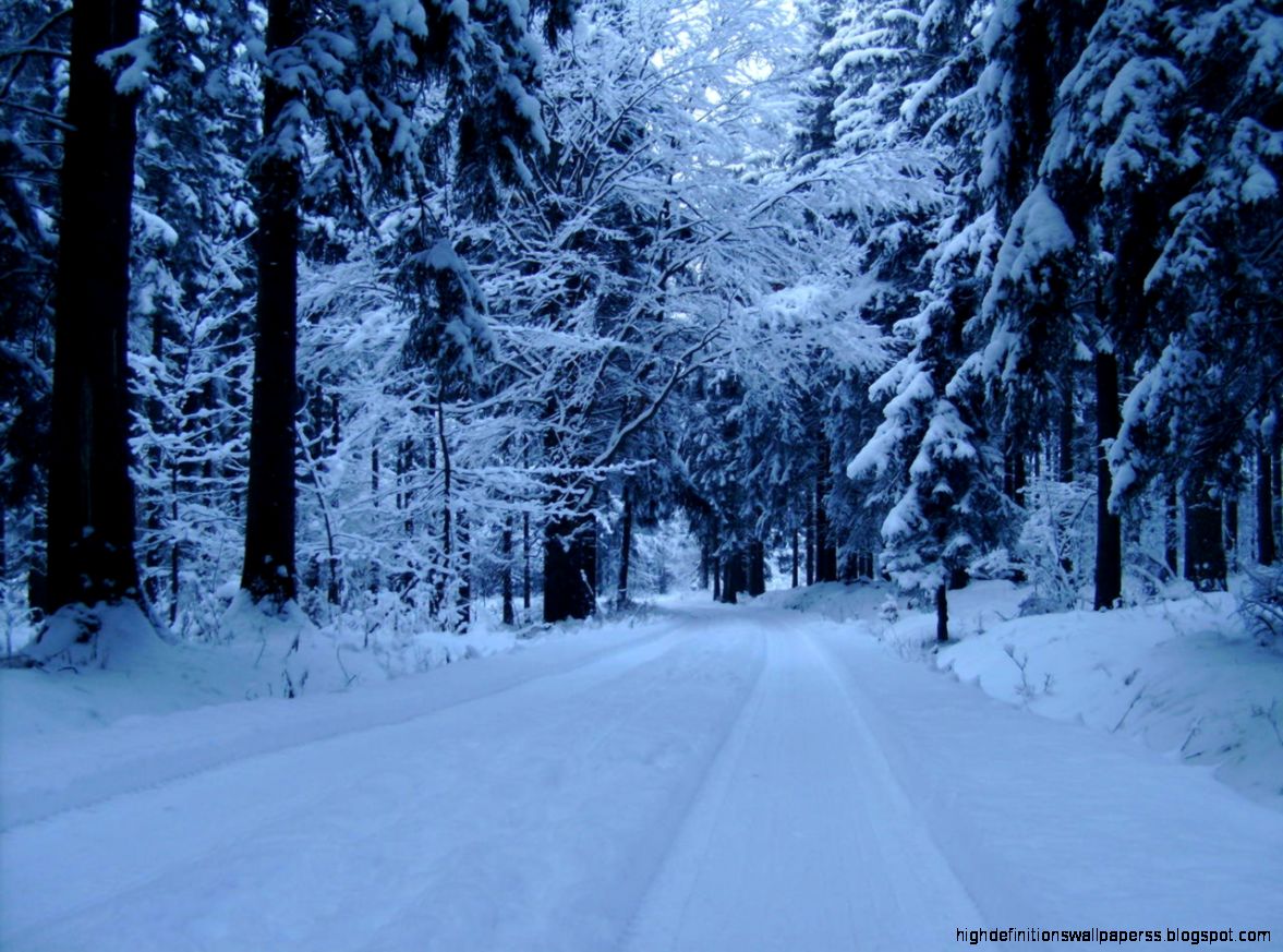Forest Snow Mountain Wallpaper Wide 7214 Wallpaper Forest Snow Mountain Wallpaper Wide 7214 Wallpaper