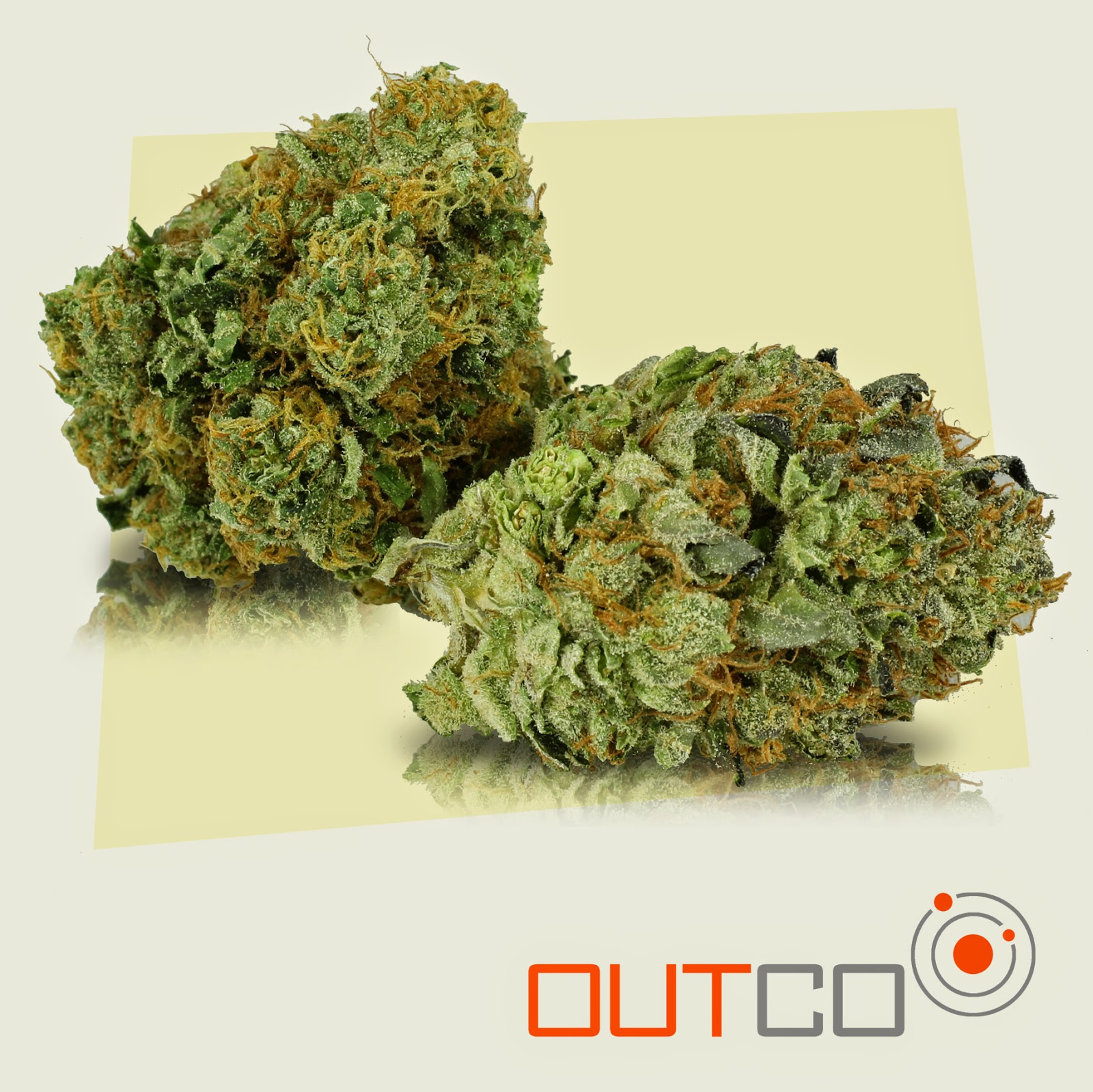 oatmeal cookie weed strain oatmeal cookie weed strain
