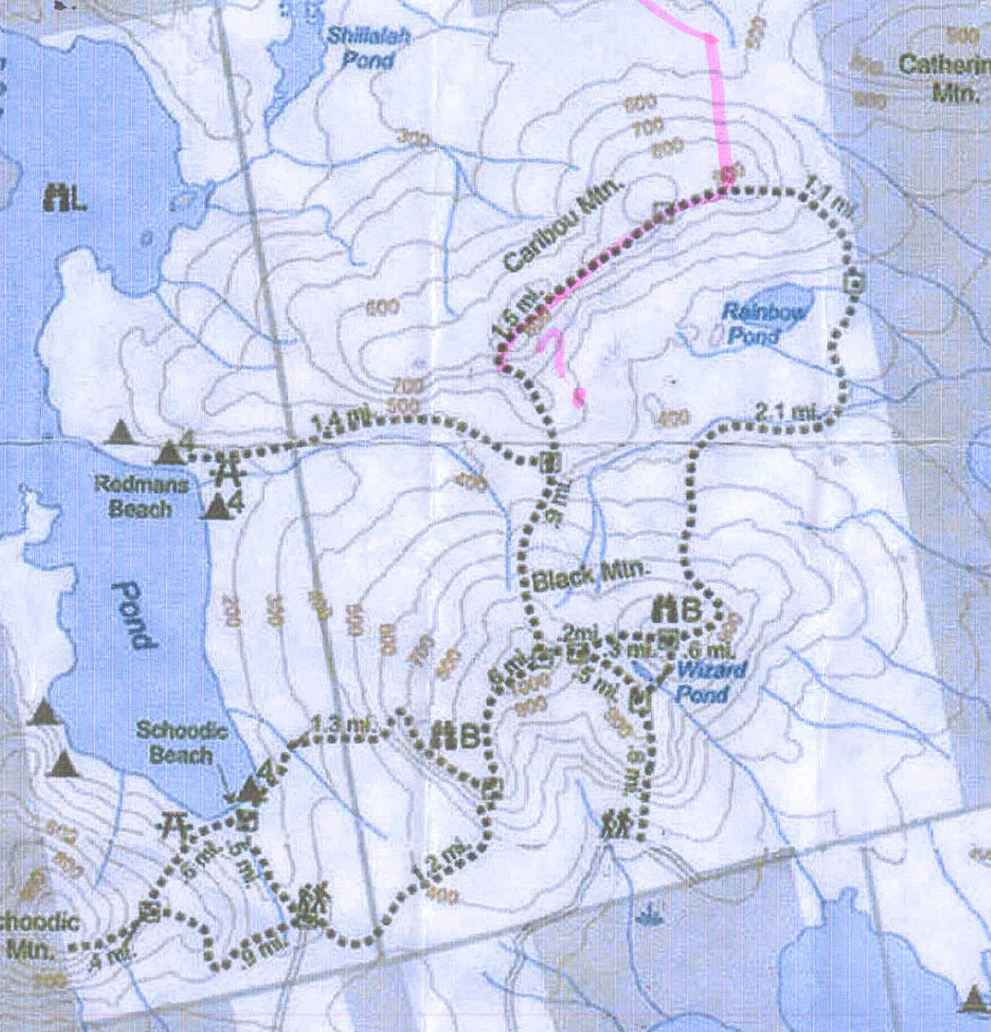Hiking in Maine with Kelley 11/15/11 Caribou Mountain Trail