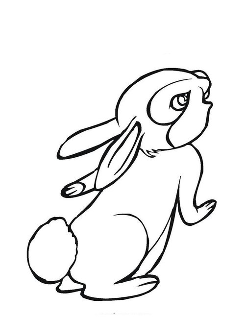 Bunny Coloring Pages For Kids >> Disney Coloring Pages