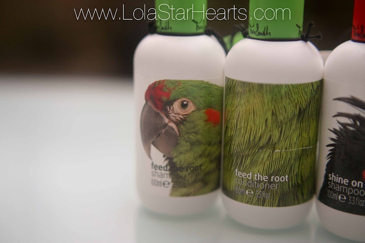 tara smith vegan hair care range review swatch photo sulphate free shampoo shine on feed the root conditioner tara smith vegan hair care range review swatch photo sulphate free shampoo shine on feed the root conditioner