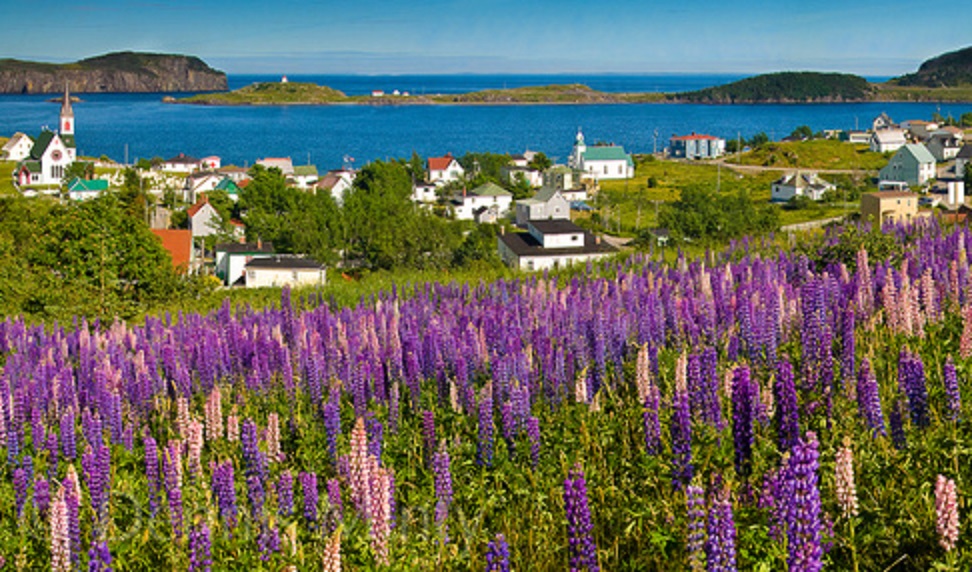 Tour of Newfoundland and Labrador