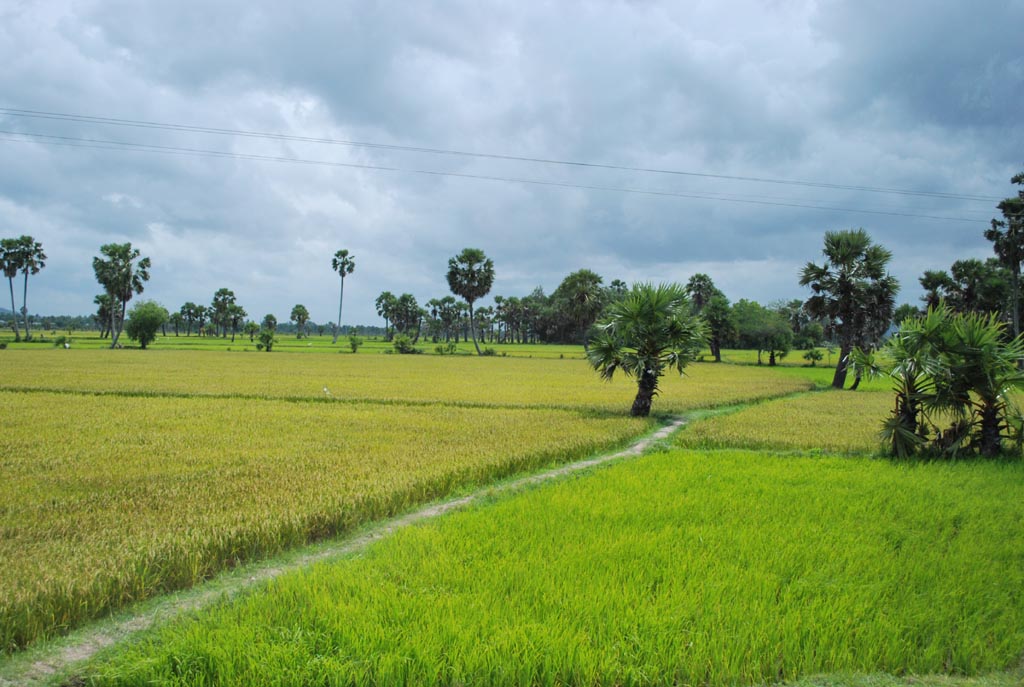 Chau Doc An Giang Province Congly Blogger Helloximo