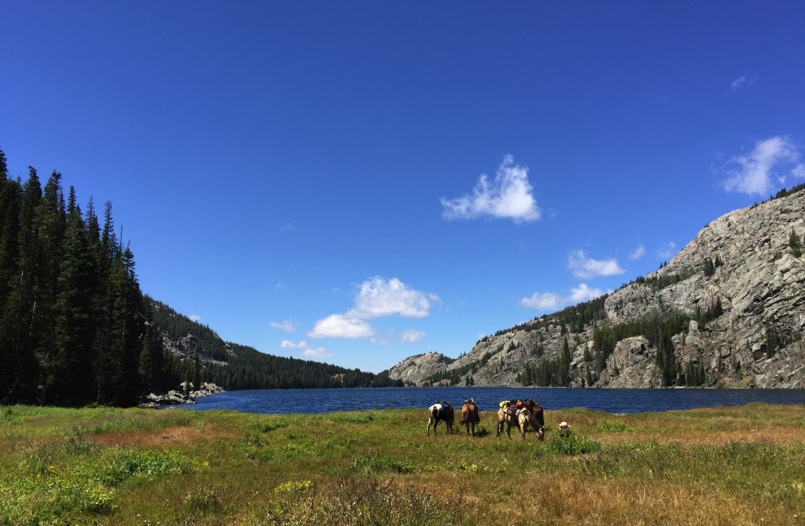 HorseTrailRiders Trail Riding in the Big Horn Mountains Pt. 2