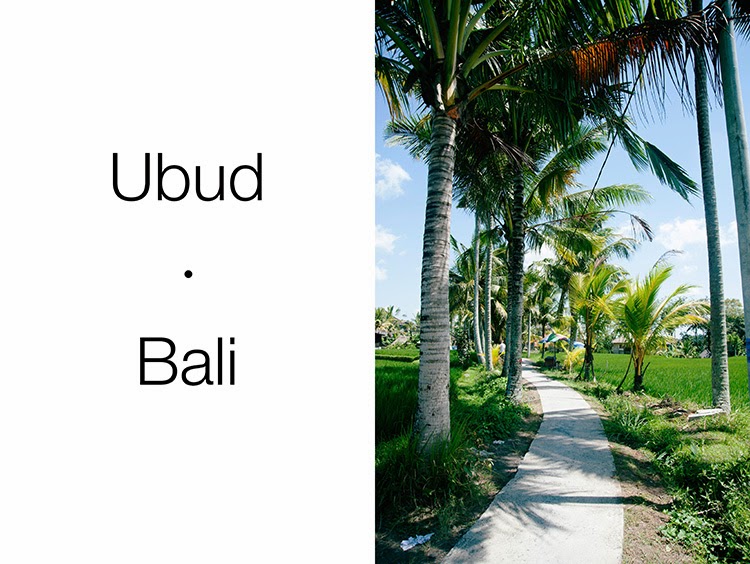 what to do in Ubud Bali