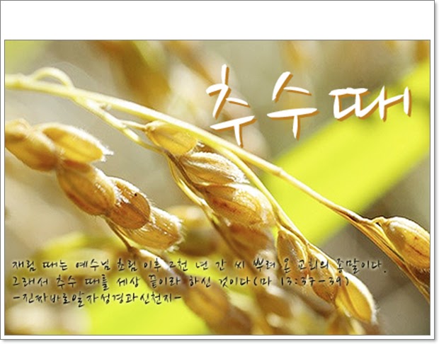 천국이 가까이 왔다4