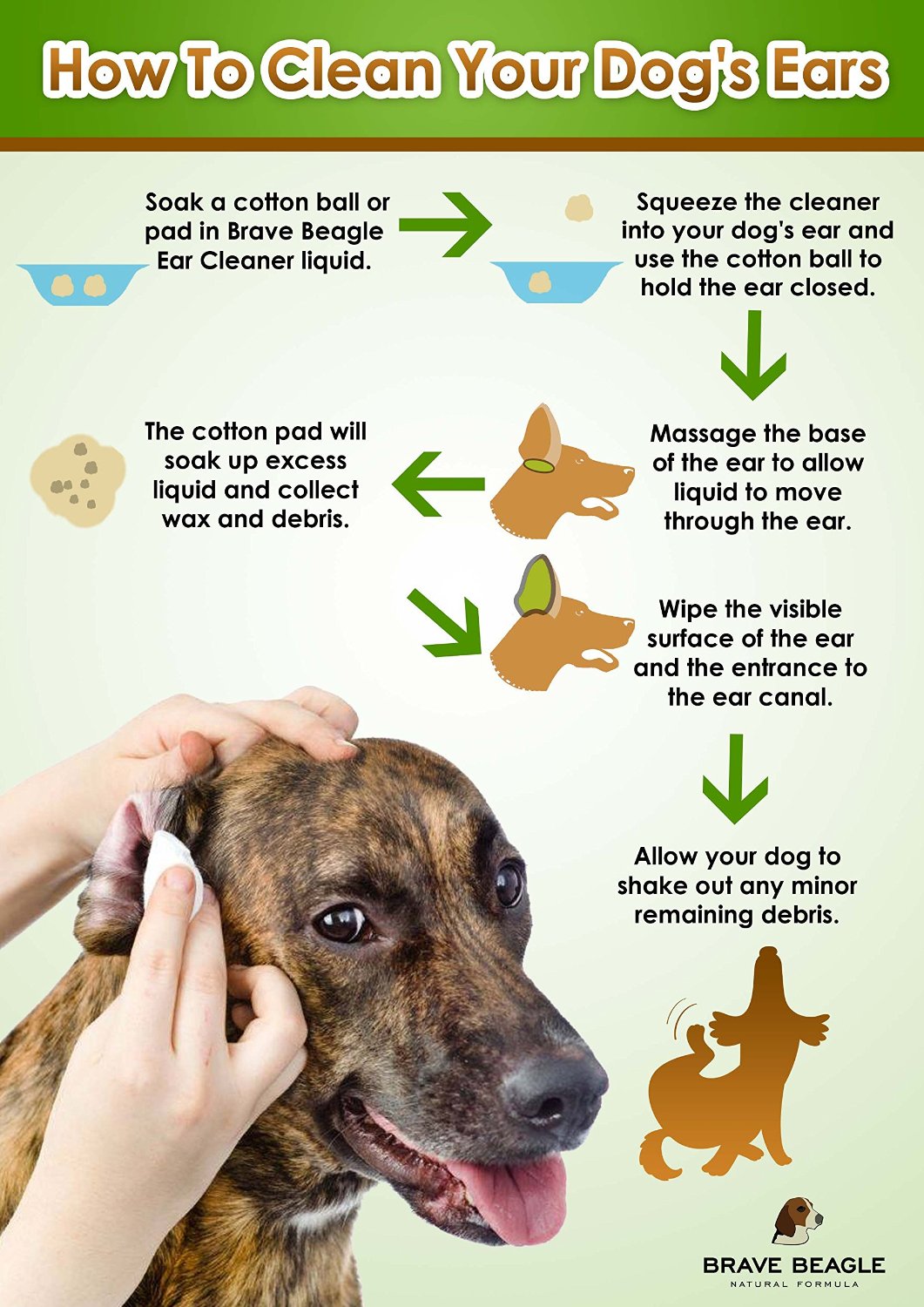 What Can I Flush My Dog's Ears Out With At Home at Esteban Keane blog