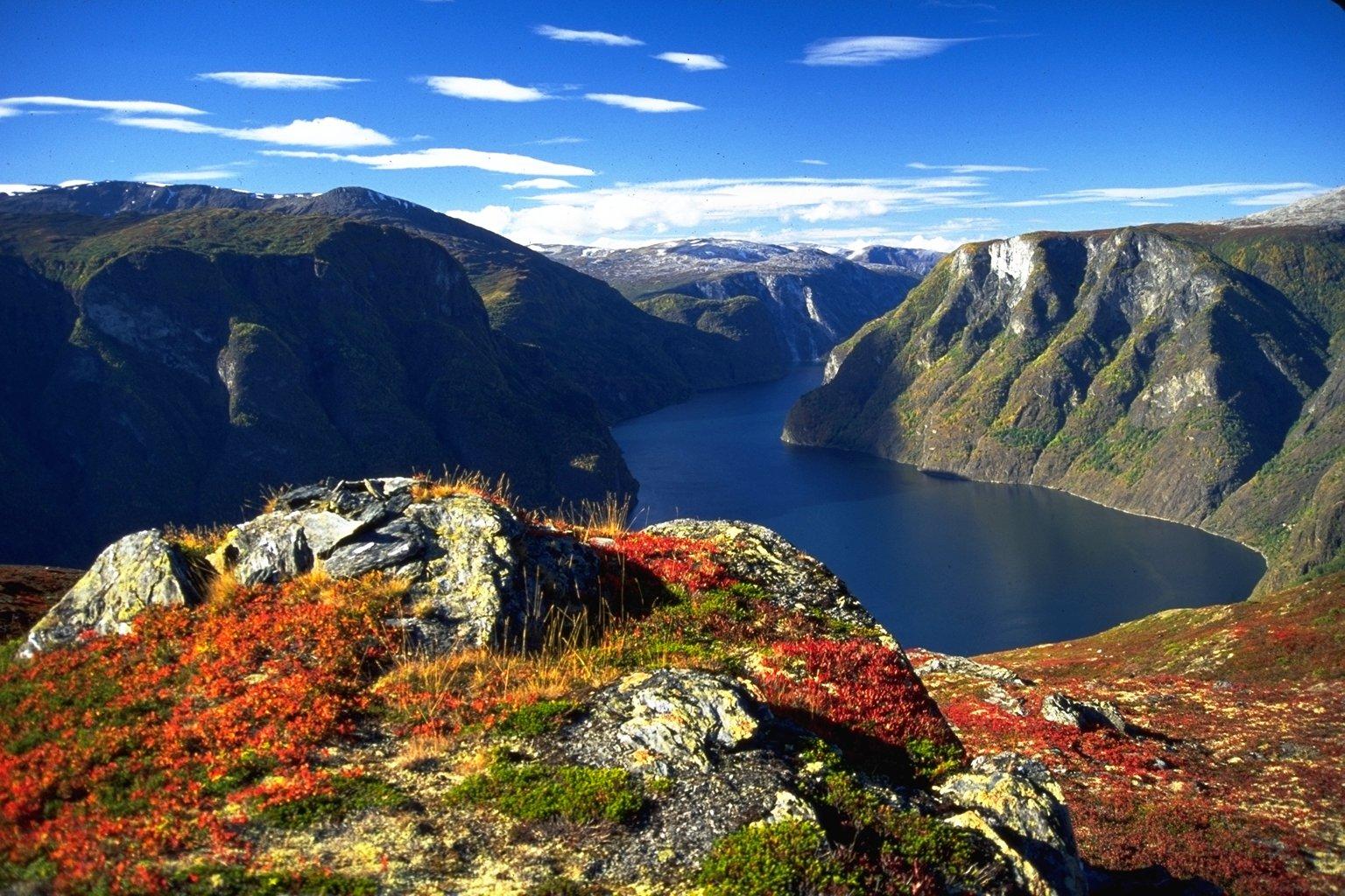 hear see bergen norway hear see bergen norway