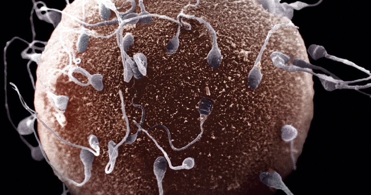 kusura bakma kardesim pc basindaydi o kufretmis