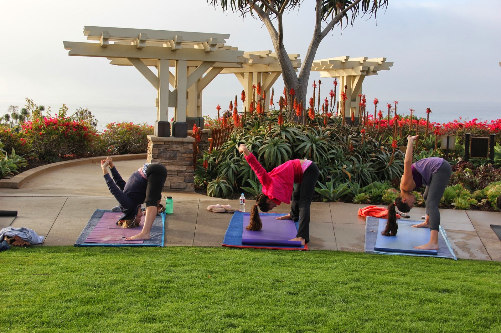 Yoga in the Park Bootcamp Yoga with Carl Brown New Years Day 2014