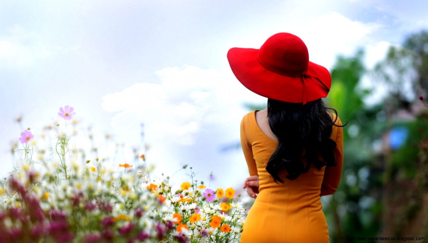 Alone girl with Flowers HD Desktop Background Wallpaper HD Alone girl with Flowers HD Desktop Background Wallpaper HD